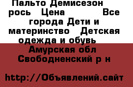 Пальто Демисезон 104 рось › Цена ­ 1 300 - Все города Дети и материнство » Детская одежда и обувь   . Амурская обл.,Свободненский р-н